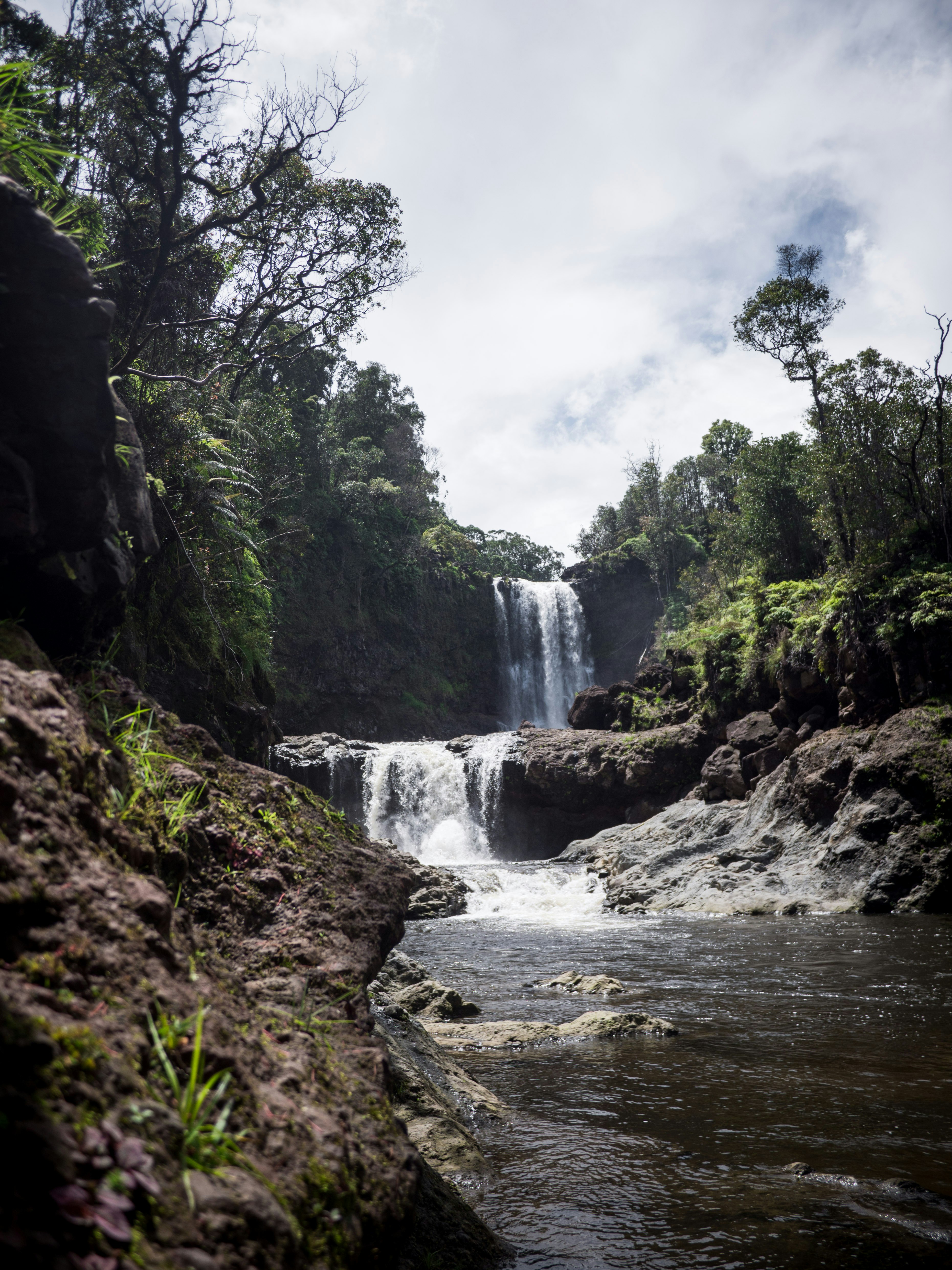 waterfalls in the middle of green trees